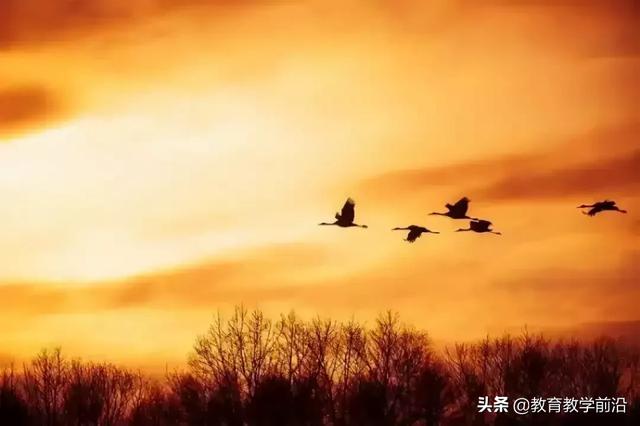 野望翻译（春日晴原野望翻译）