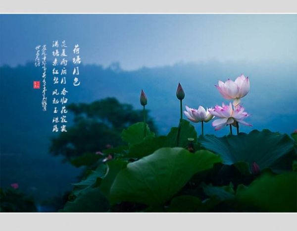 抒情散文精选（抒情散文精选600字初中）