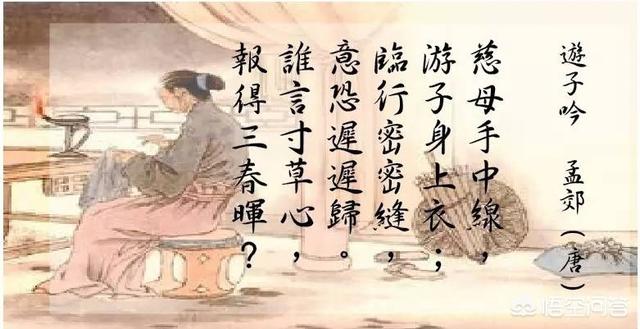 游子吟全诗的意思（游子吟全诗）