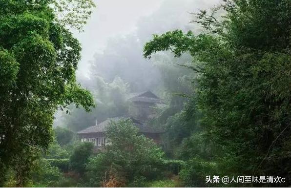 空山不见人的下一句是什么（空山不见人的出处）