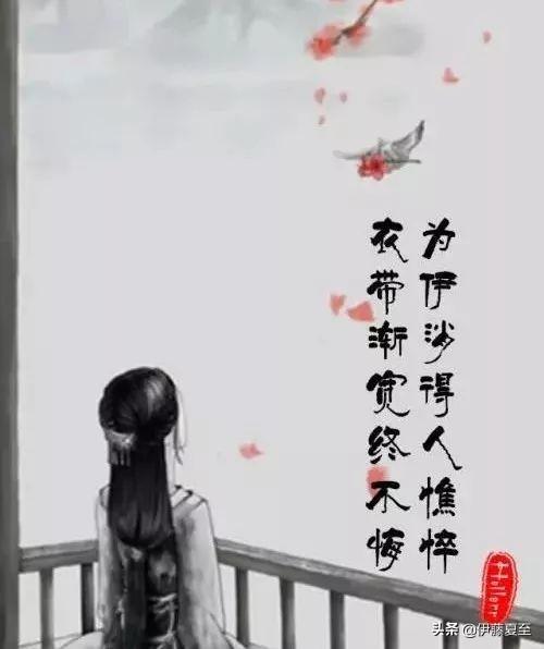 衣带渐宽终不悔下一句（衣带渐宽终不悔下一句怎么说）