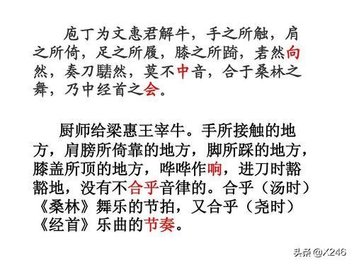 庖丁解牛（庖丁解牛读音）