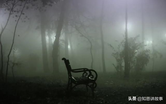 故事大全（故事大全 睡前故事）