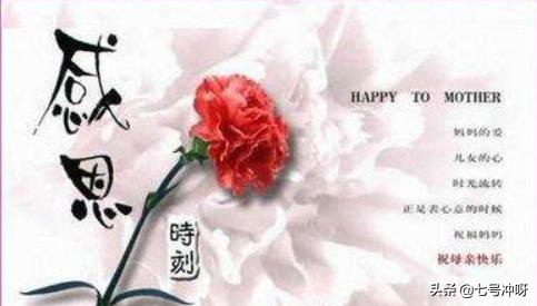 十句母爱的名言（十句母爱的名言四字成语）