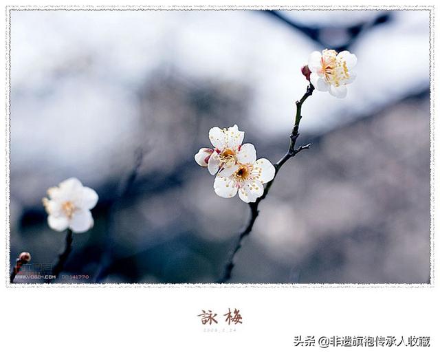 关于梅花的诗（关于梅花的诗句100首）