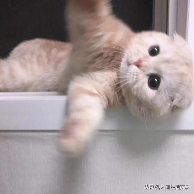 经典名言名句大全（英语经典名言名句大全）