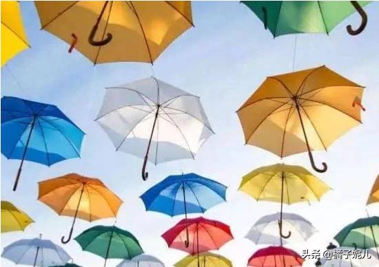 雨伞的拼音（雨伞的拼音怎么读）