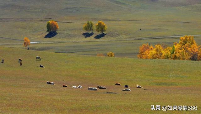 金秋九月的优美诗句（金秋九月的优美诗句开场白）
