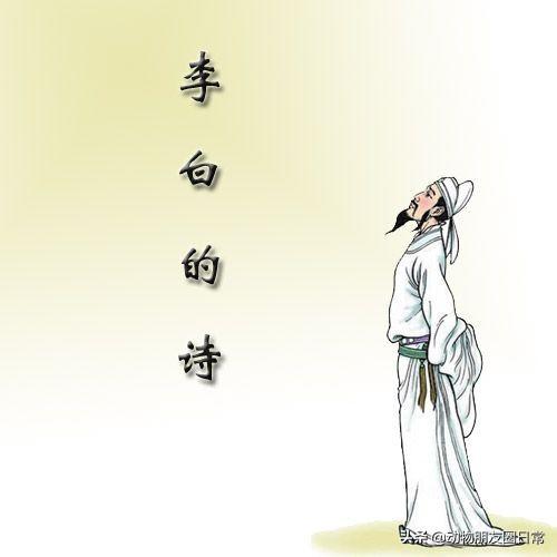 山随平野尽江入大荒流（山随平野尽江入大荒流月下飞天镜云生结海楼）