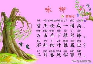 咏柳古诗原文（咏柳古诗原文朗诵）