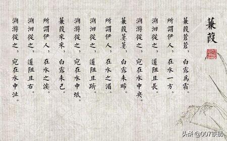 蒹葭原文注音及翻译（《蒹葭》全文注音版）