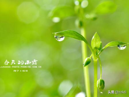 春天的古诗有哪些（春天的古诗有哪些二年级下册六首2020年）