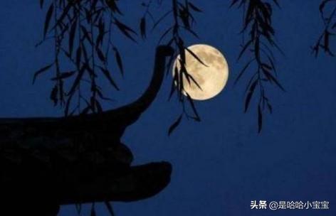 十五夜望月古诗意思（十五夜望月古诗意思20字）