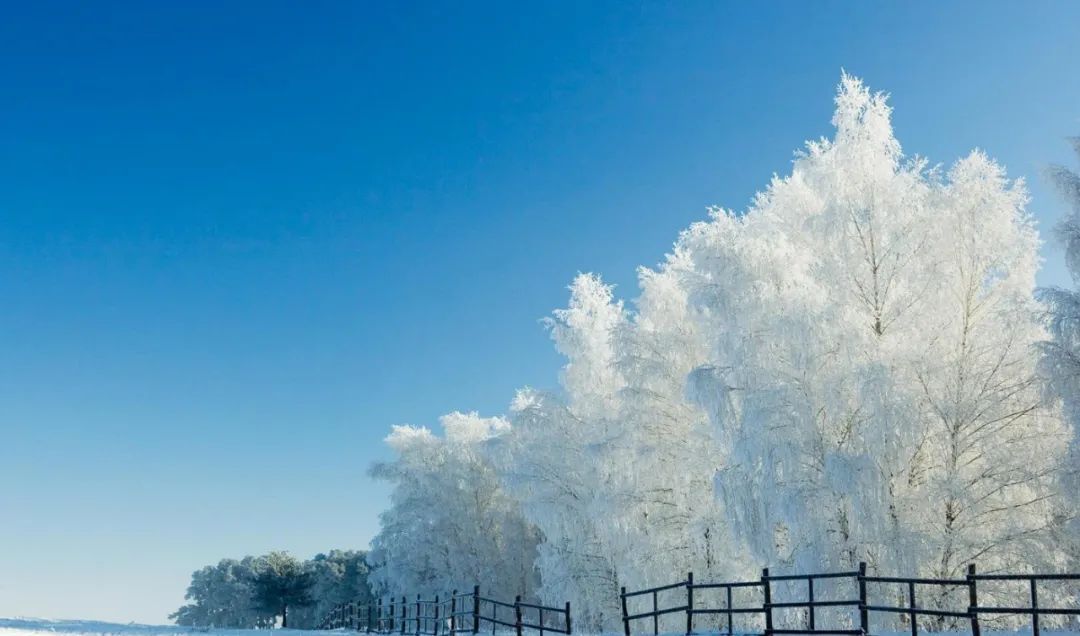 含有雪的诗句古诗_含有“雪”的古诗