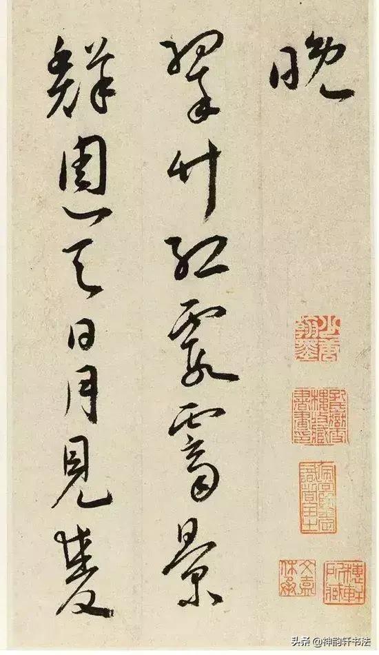 草书书法欣赏_满字的草书书法欣赏