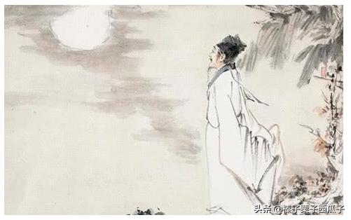 《十五夜望月》的翻译_《十五夜望月》翻译50字