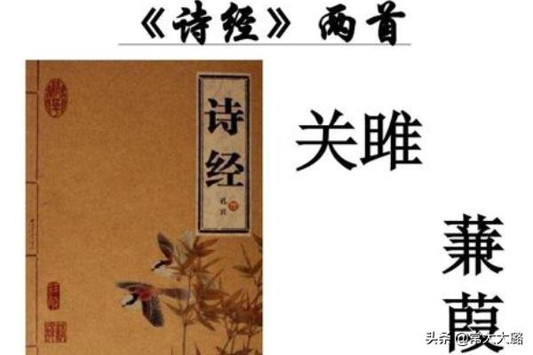 关雎全文翻译_关雎全文翻译拼音