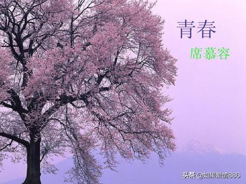 青春席慕容原文朗诵_席慕容的诗《青春》朗读