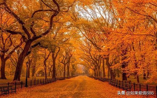 描写秋天悲凉的诗句_形容秋天悲凉的诗句