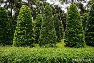 清明节的绝美佳句人民日报_清明节语句佳句