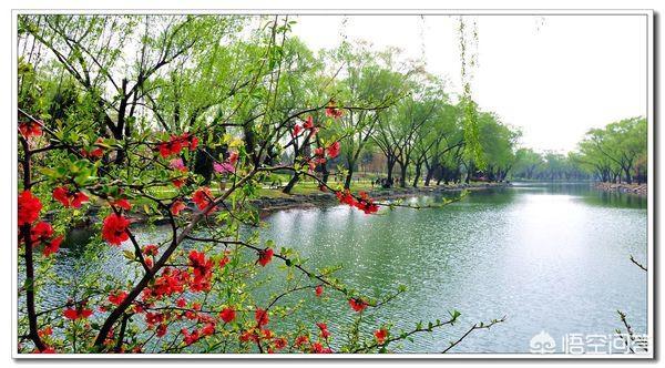 描写春天的四字成语200个(描写春天的四字成语有哪些50个)