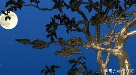 昨夜星辰昨夜风翻译(昨夜星辰昨夜风怎么读)