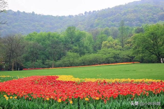 描写春天的优美诗词句(描写春天的优美诗词句有哪些)